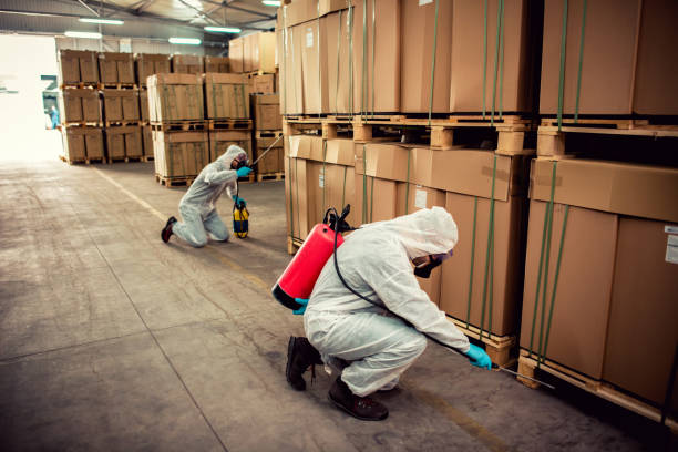 Best Termite Control Services  in Jamestown, KY