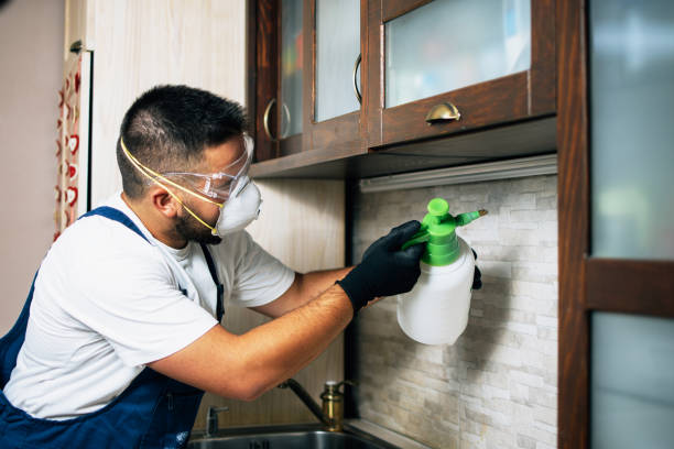 Best Best Pest Control Companies  in Jamestown, KY