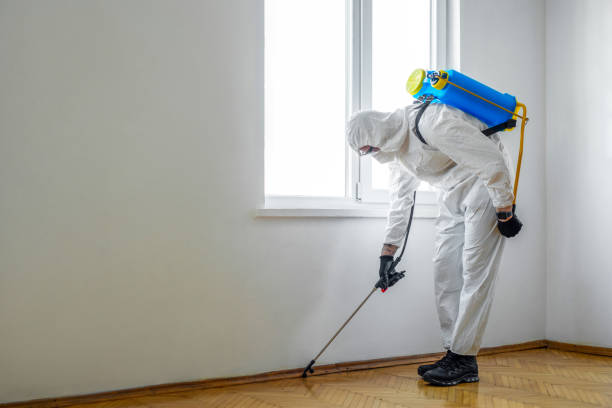 Best Residential Pest Control  in Jamestown, KY
