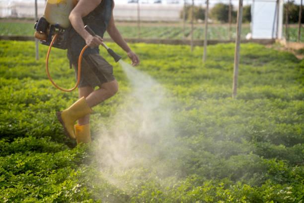 Best Affordable Pest Control Services  in Jamestown, KY