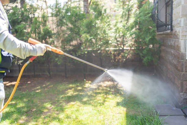 Best Affordable Pest Control Services  in Jamestown, KY