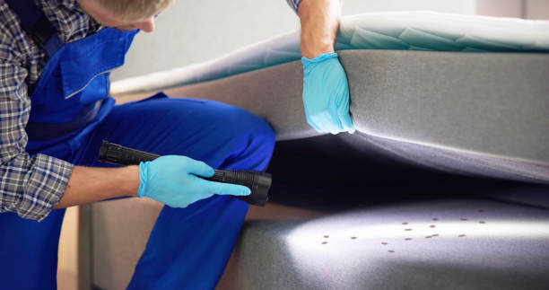 Wasp Removal Services in Jamestown, KY