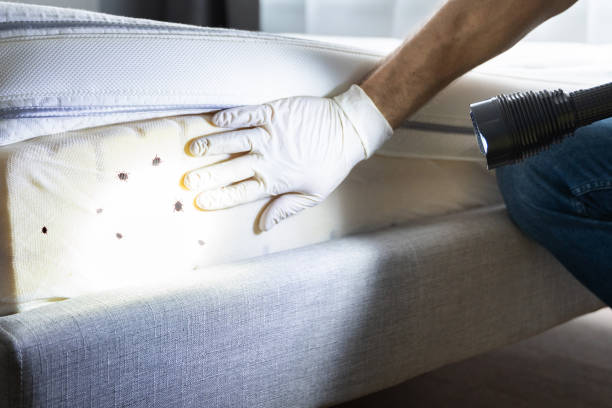 Best Residential Pest Control  in Jamestown, KY