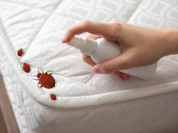  Jamestown, KY Pest Control Pros