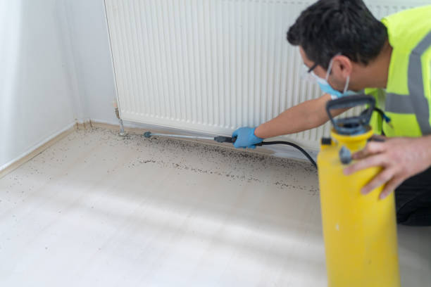 Best Ant Control Services  in Jamestown, KY