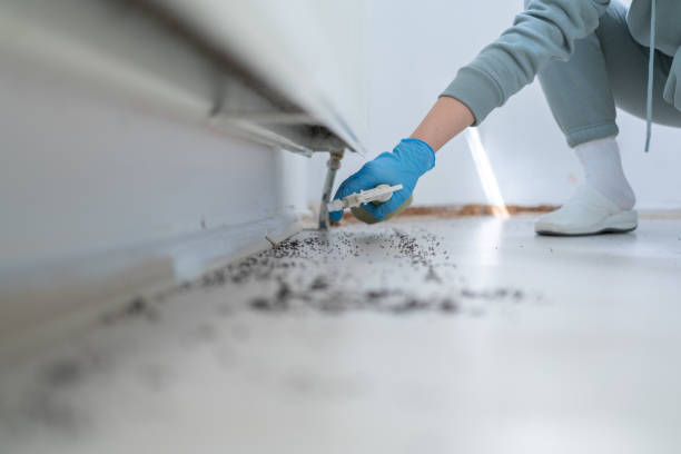 Best Pest Removal Services  in Jamestown, KY