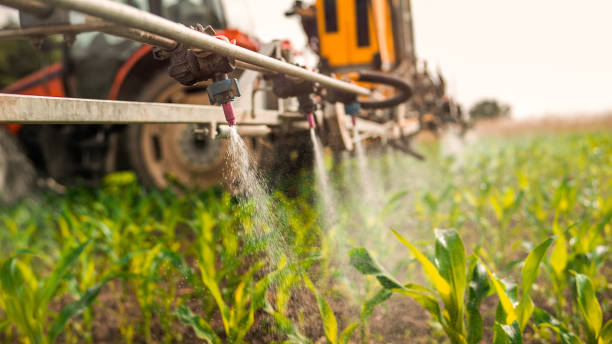Best Pest Control Treatment  in Jamestown, KY